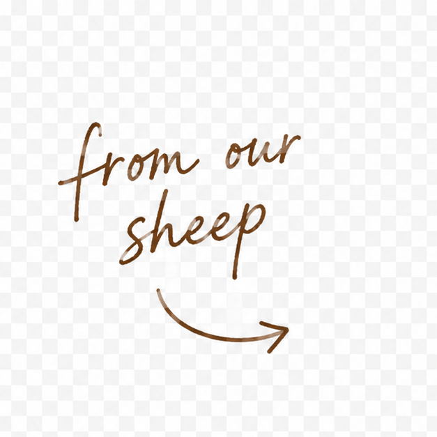 from our sheep